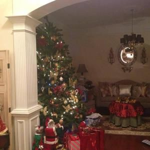 Meet your Posher, Phoebe